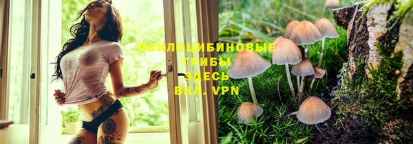ECSTASY Алексин
