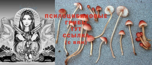 ECSTASY Алексин