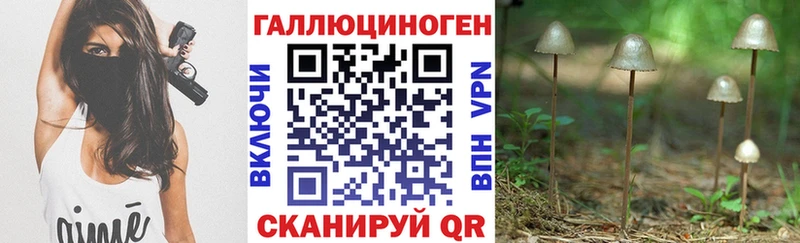 hydra ссылка  Ардатов  Псилоцибиновые грибы прущие грибы 